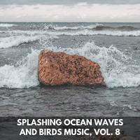 Splashing Ocean Waves and Birds Music, Vol. 8