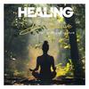 Healing Deepwave - 528 Hz Nirvana's Nightfall