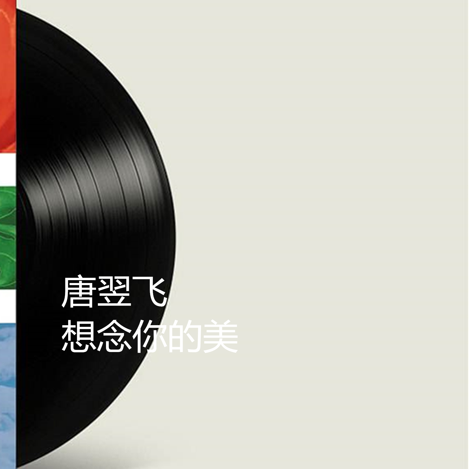 那朵花 - 唐翌飞封面