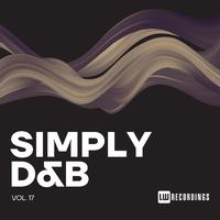 Simply Drum & Bass, Vol. 17