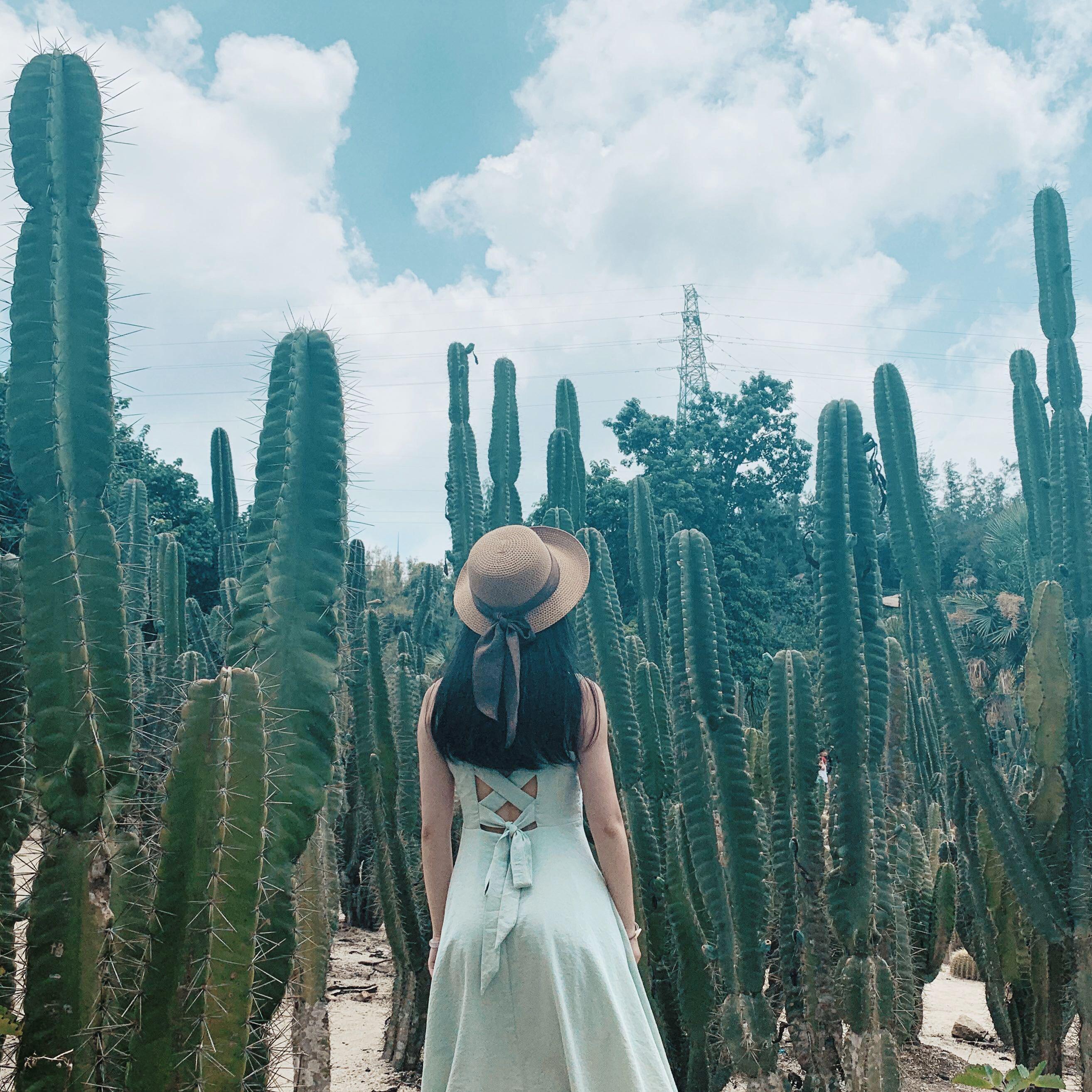 择日疯（翻自 钟嘉欣）