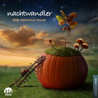 Nachtwandler Vol. 2 - Deep Electronic House