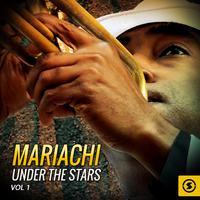 Mariachi Under The Stars, Vol. 1