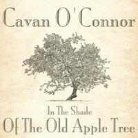 In the Shade of the Old Apple Tree