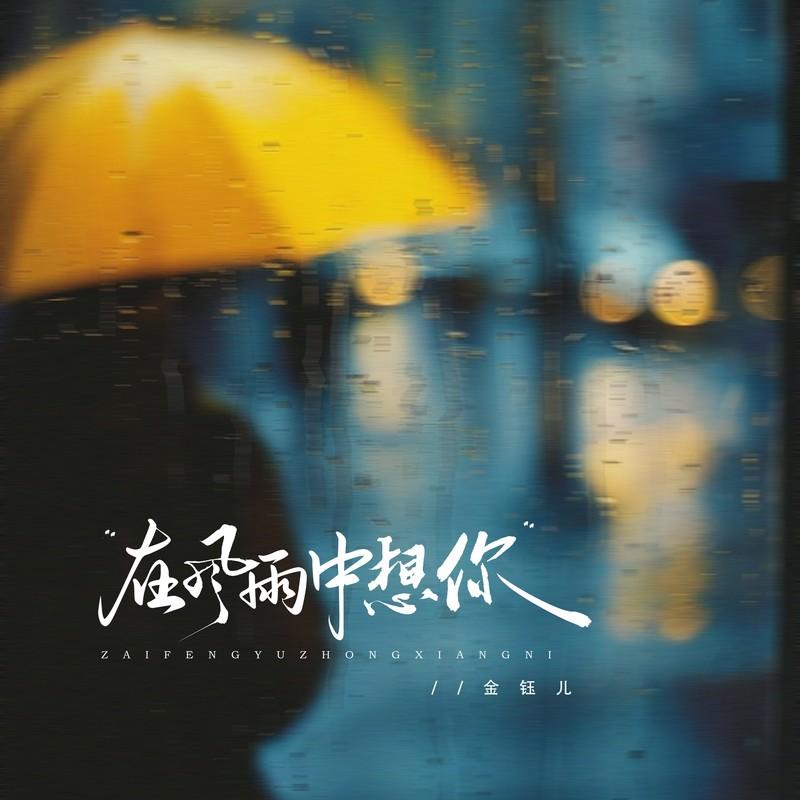 在風雨中想你 海報