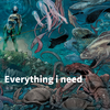 执日的情歌 - Everything I Need