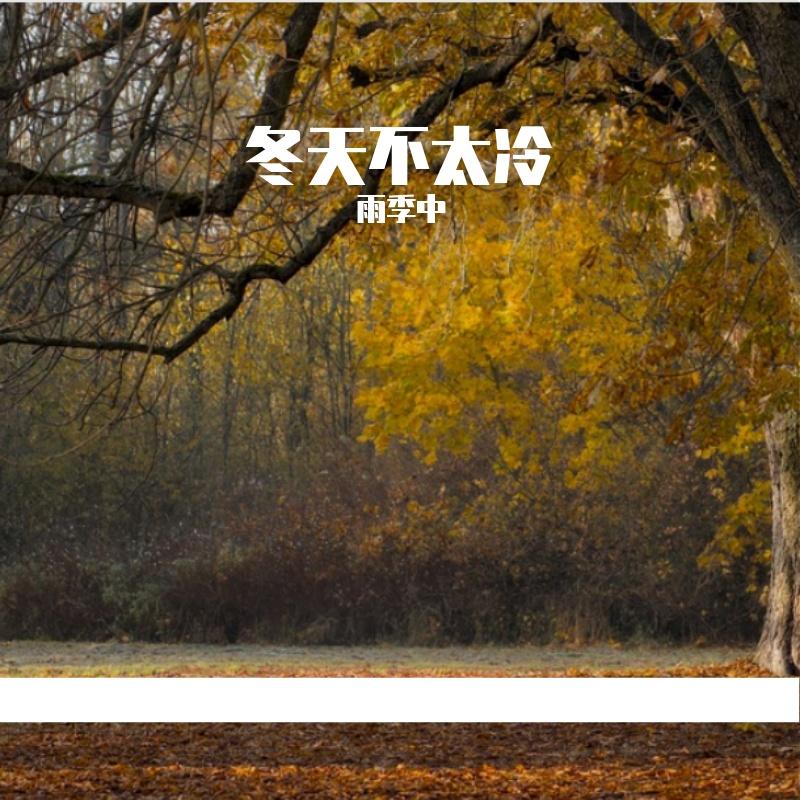 山中之音封面