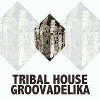 Groovadelika