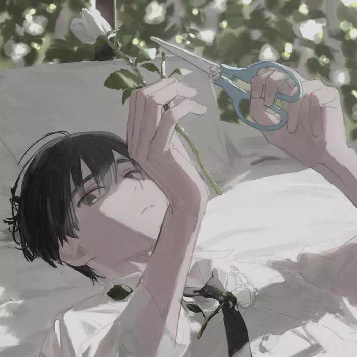 百变酒精封面