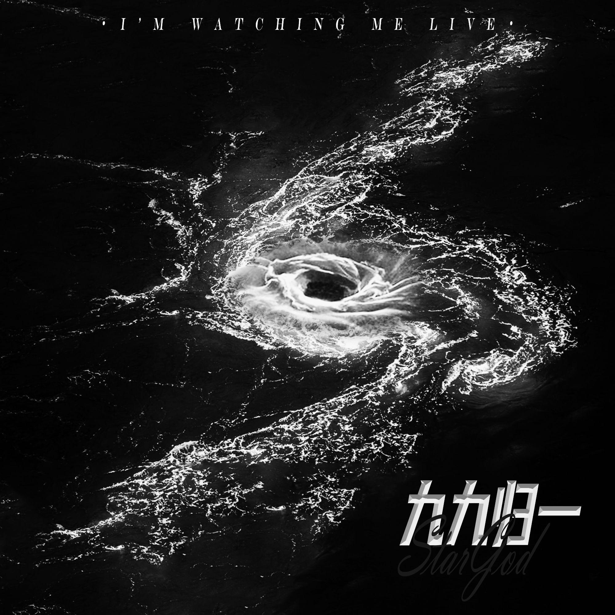 向死而生封面