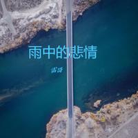 雨中的悲情