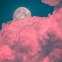 Pink Night