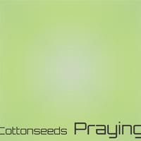 Cottonseeds Praying