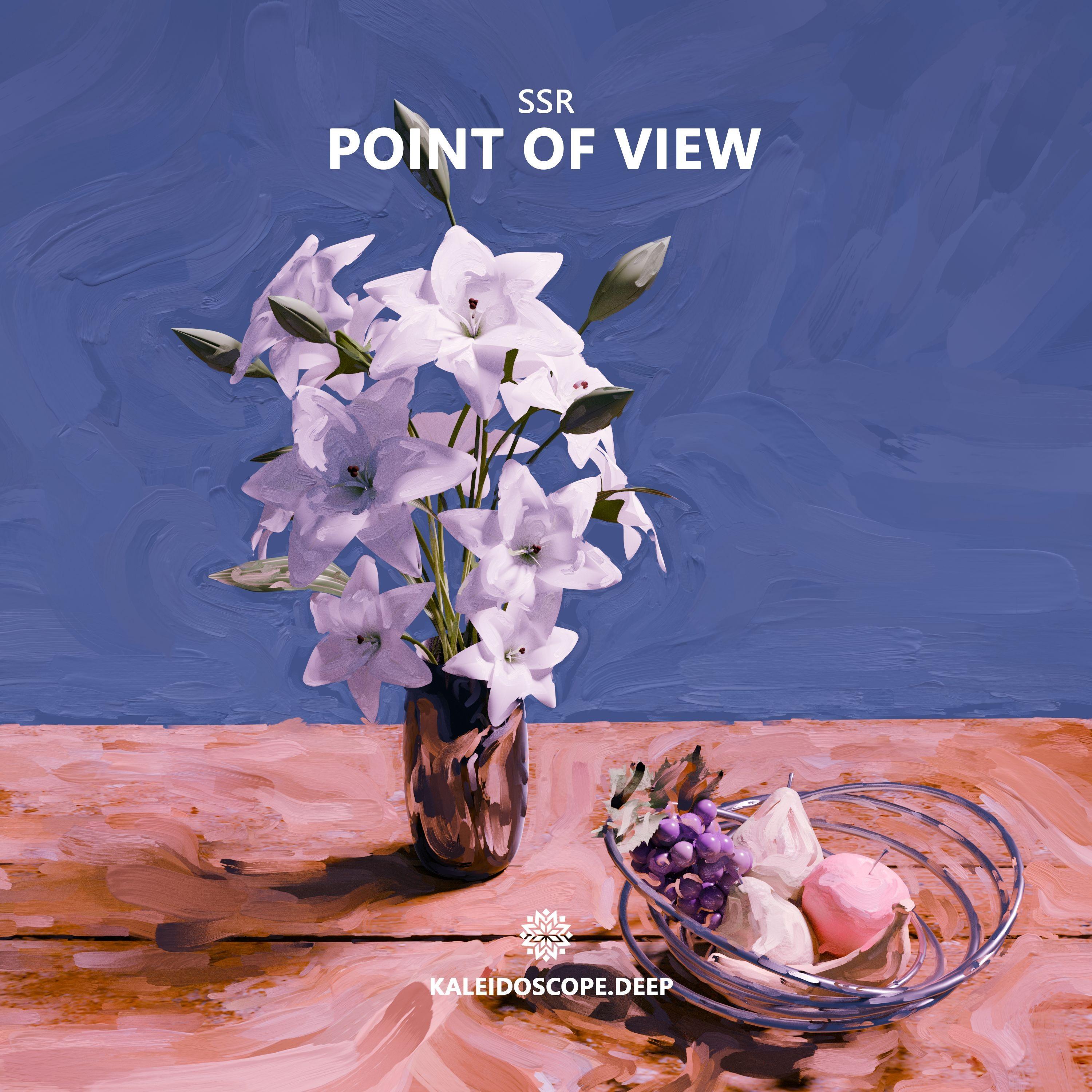 Point of View