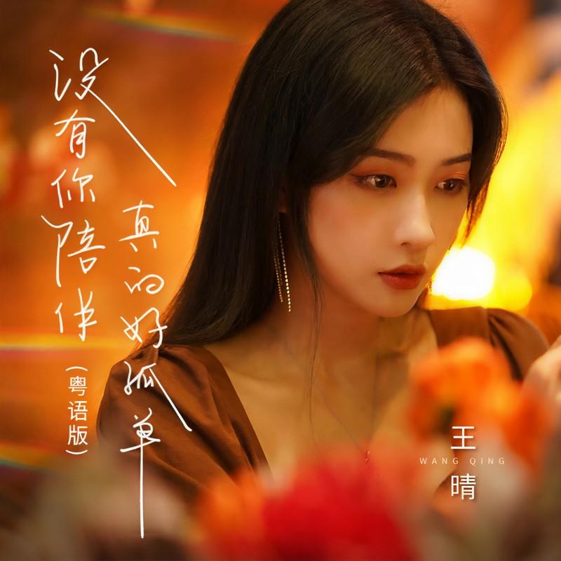 没有你陪伴真的好孤单 (粤语DJ版)封面
