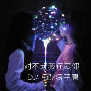 我以为还差一首揉情歌(DJ咚鼓版)