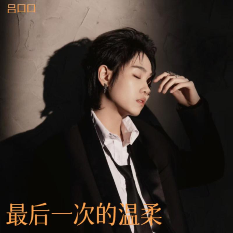 最终柔情 (伴奏) - 吕口口封面