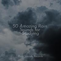 50 Amazing Rain Sounds for Studying