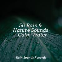 50 Rain & Nature Sounds - Calm Water