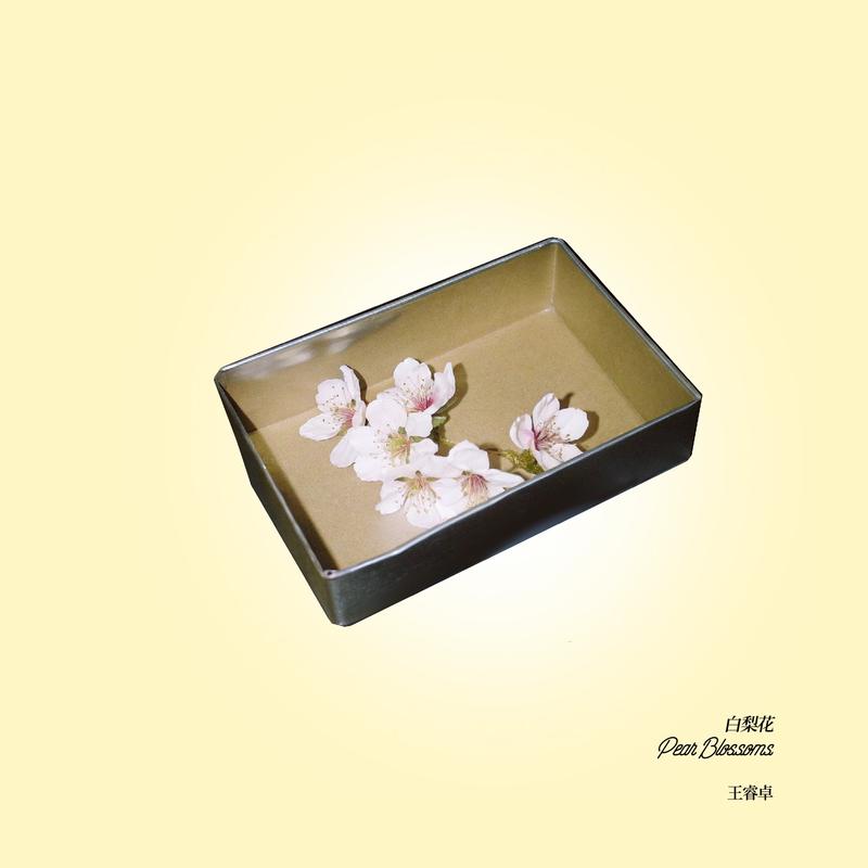 白梨花