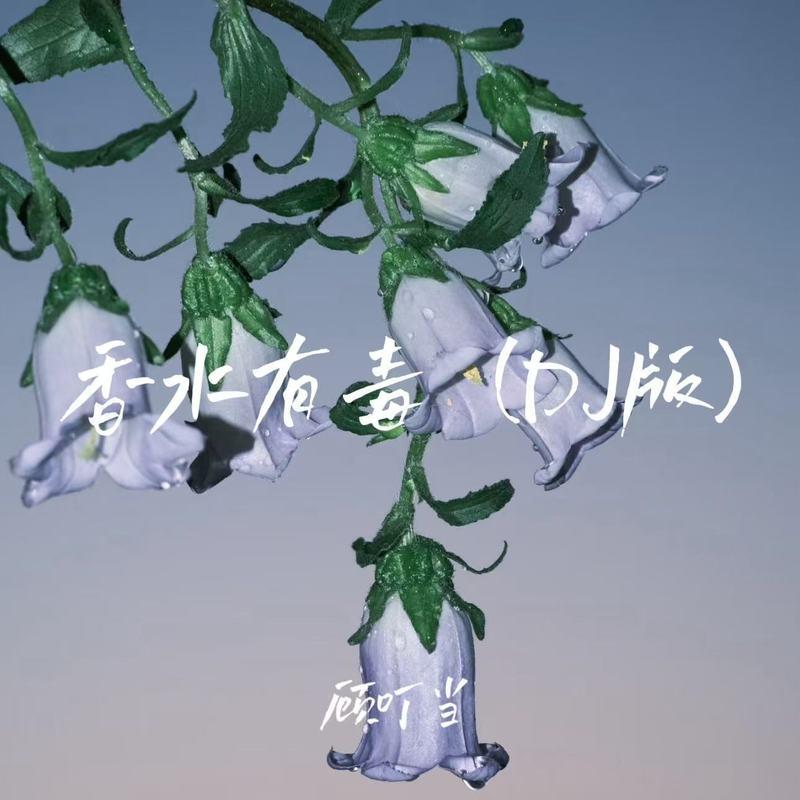 香水有毒 (DJ版) - 顾叮当封面