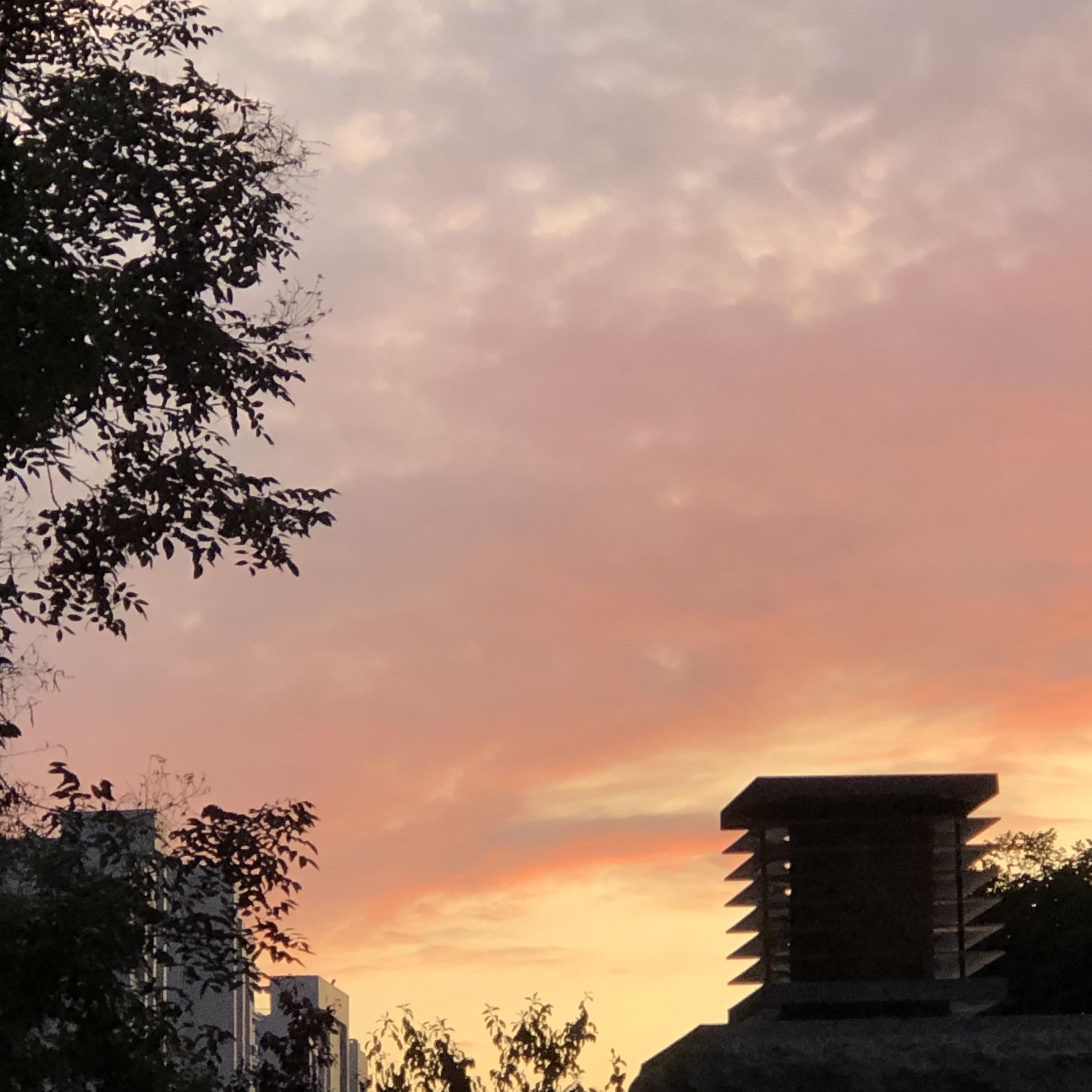 小舍得封面