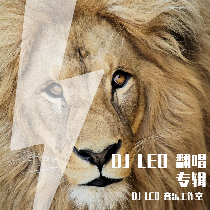 风往北吹 - DJ LEO REMIX封面