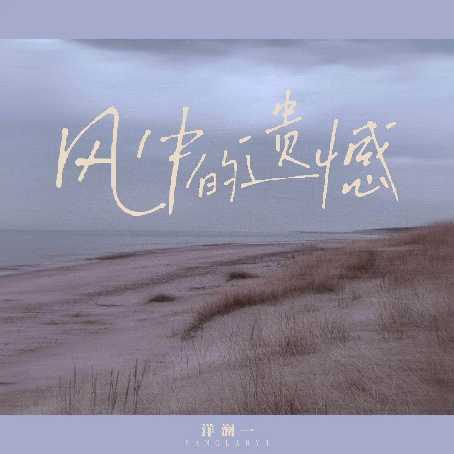 风中的遗憾 伴奏 - 洋澜一、NewPiano、NewPiano工作室封面