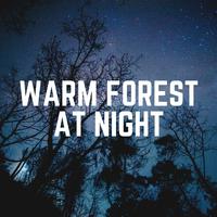 Warm Forest at Night