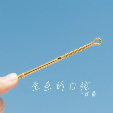 金色的口弦 (Cover 金古阿嘎)封面