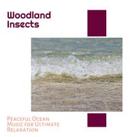Woodland Insects - Peaceful Ocean Music for Ultimate Relaxation