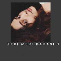 Teri Meri Kahani 3