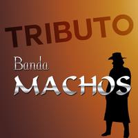 Tributo a Banda Machos