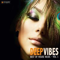 Deep Vibes: Best of House Music, Vol. 1