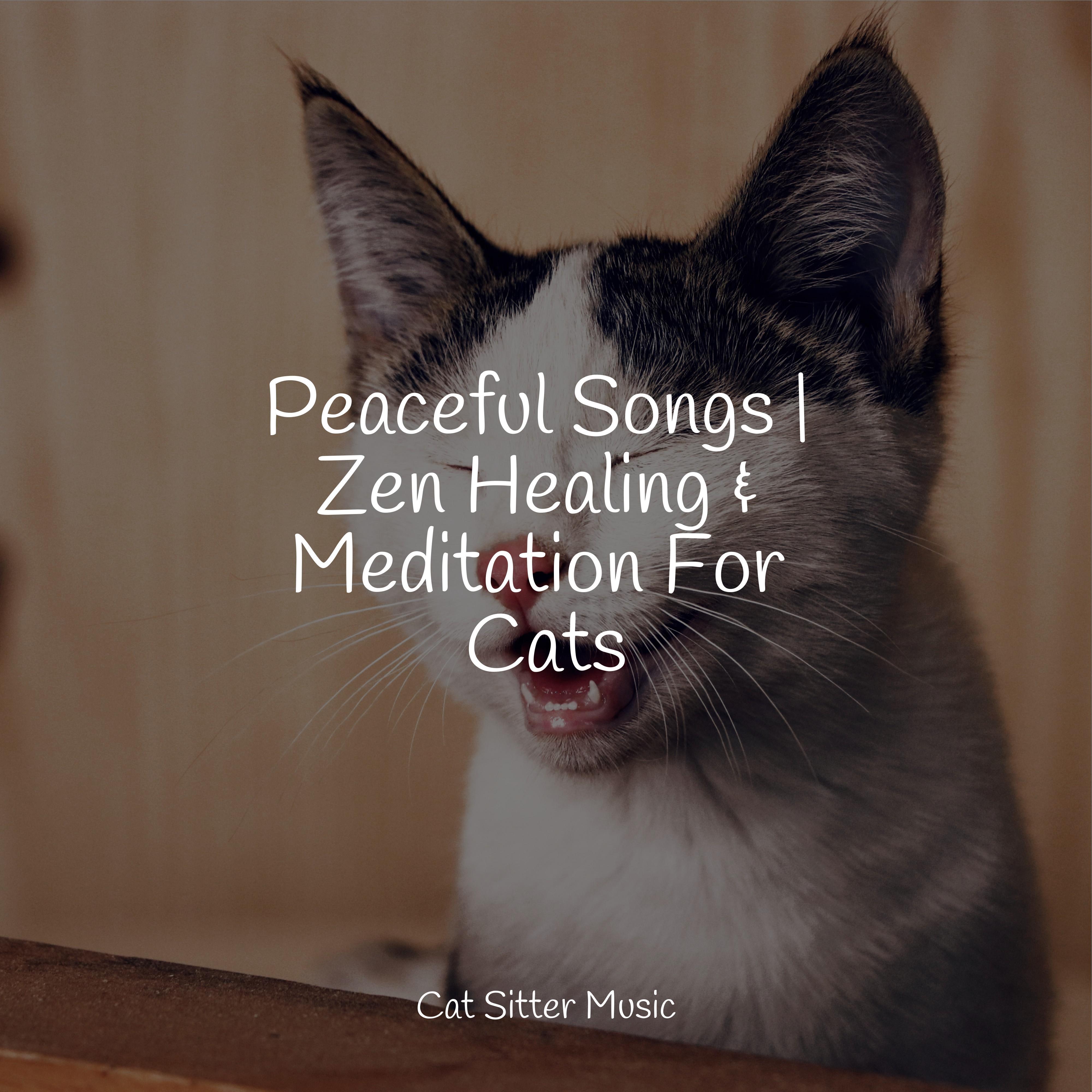 Curated visual reference: Visual Reference: Peaceful Songs Zen Healing Meditation For Cats