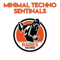 Minimal Techno Sentinals