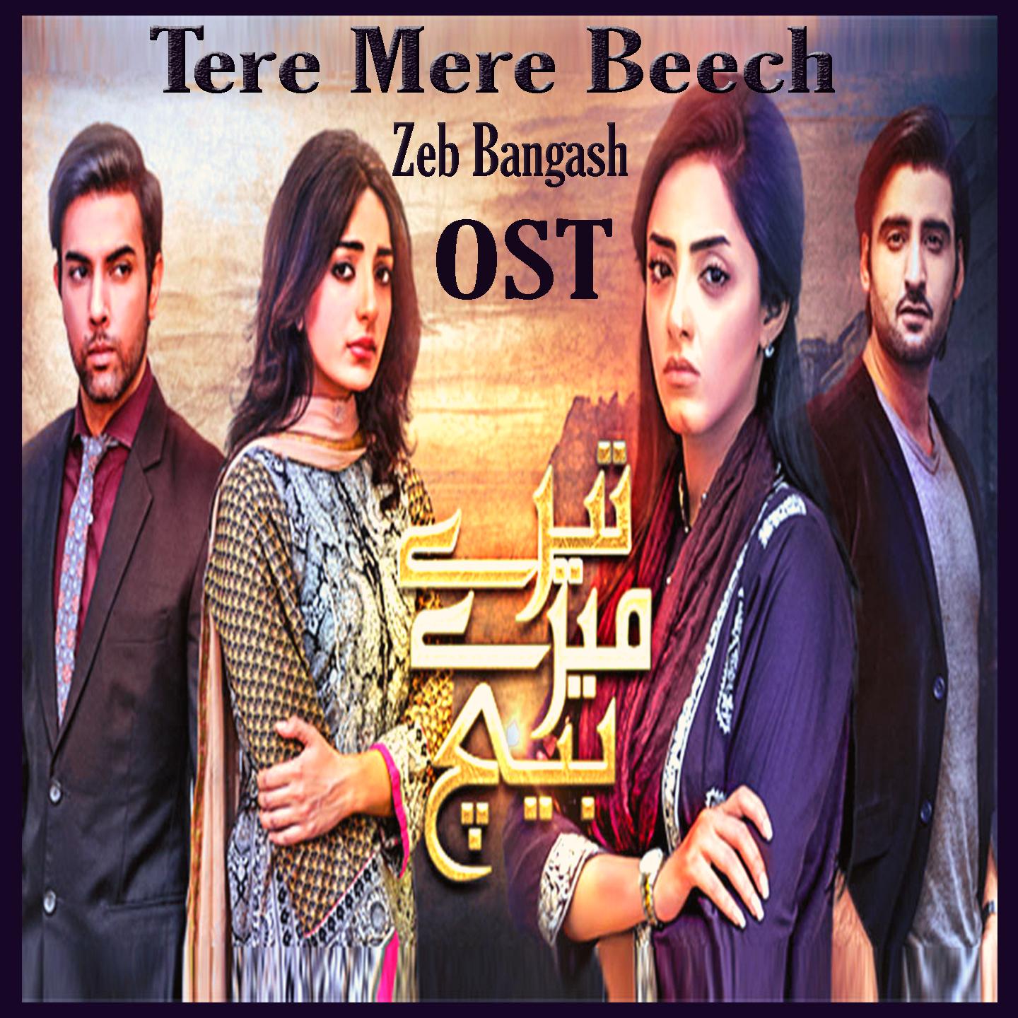 Tere Mere Beech 