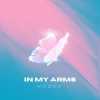 In My Arms