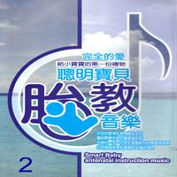 聰明寶貝胎教音樂 2 (Smart baby antenatal instruction music)