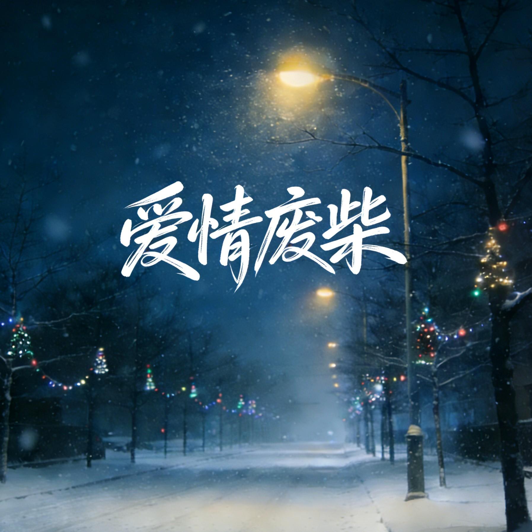 爱情废柴封面