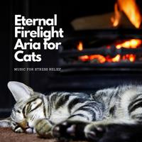 Eternal Firelight Aria for Cats: Music for Stress Relief