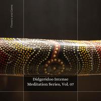 Didgeridoo Intense Meditation Series, Vol. 07