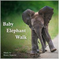 Baby Elephant Walk