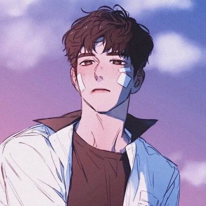 鹊桥汇封面