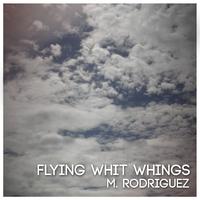 Flying With Whings