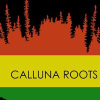 Calluna Roots资料,Calluna Roots最新歌曲,Calluna RootsMV视频,Calluna Roots音乐专辑,Calluna Roots好听的歌