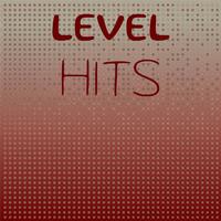 Level Hits