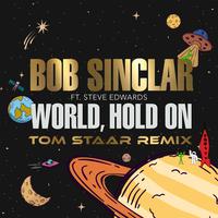 World, Hold On (Children Of The Sky) (Tom Staar Remix)