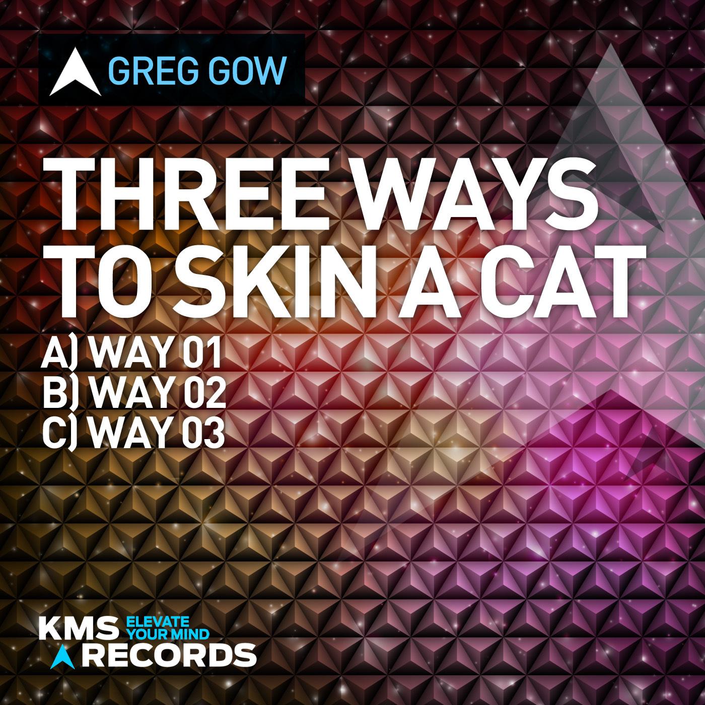 Three Ways To Skin A Cat (Way 1)