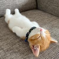 贰叁
